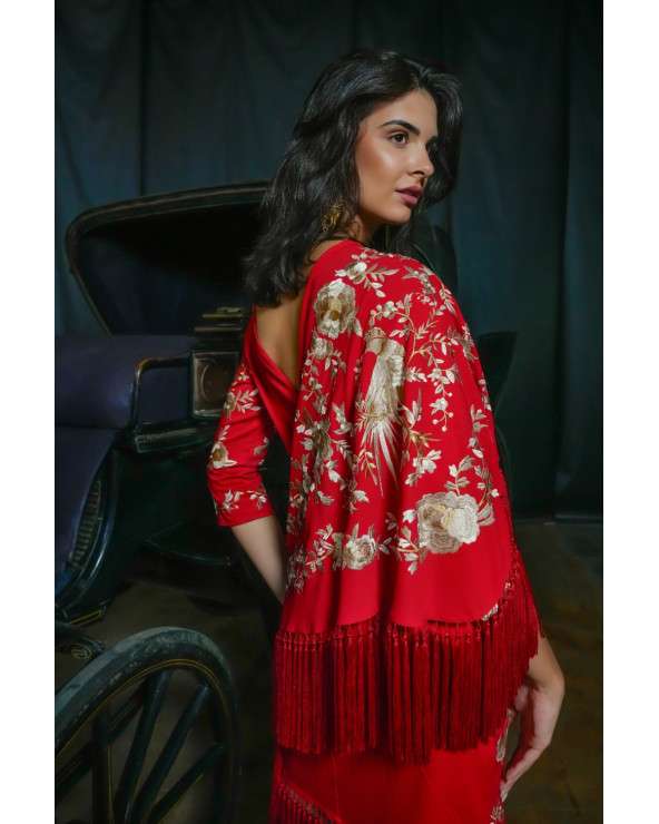 Vestido Cirque bordado con flecos y mantón